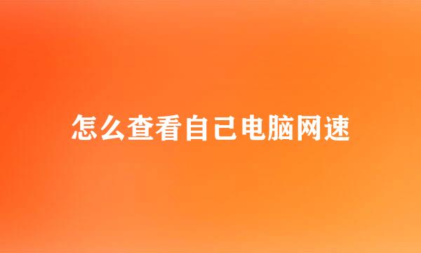 怎么查看自己电脑网速