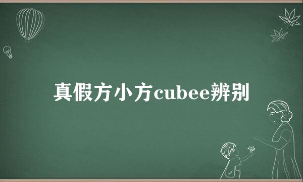 真假方小方cubee辨别