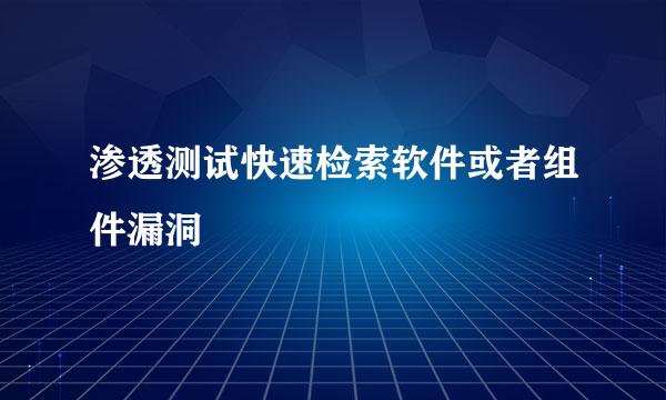 渗透测试快速检索软件或者组件漏洞