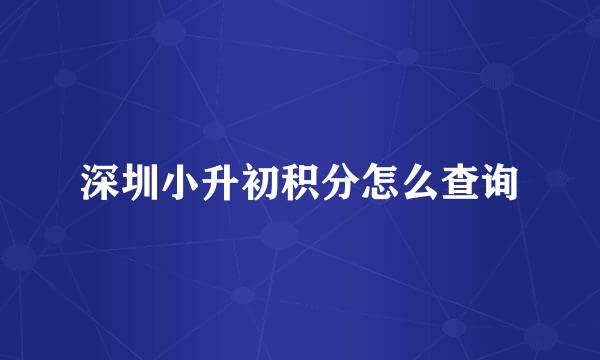 深圳小升初积分怎么查询