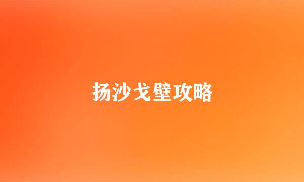 扬沙戈壁攻略