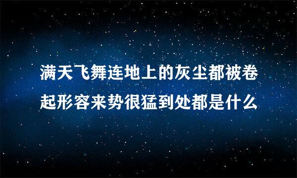 满天飞舞连地上的灰尘都被卷起形容来势很猛到处都是什么