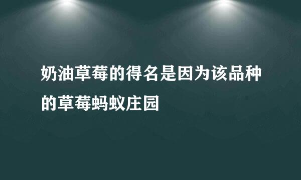 奶油草莓的得名是因为该品种的草莓蚂蚁庄园