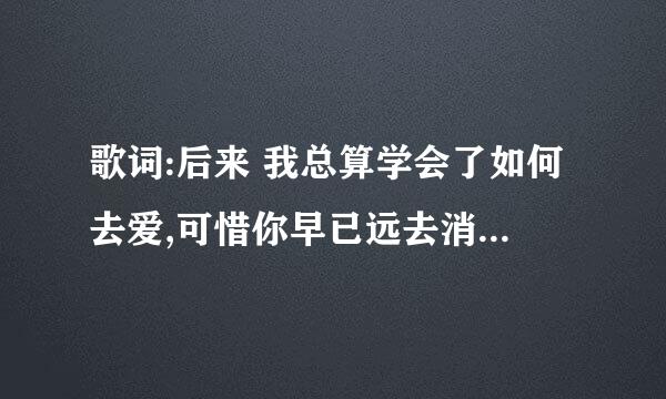 歌词:后来 我总算学会了如何去爱,可惜你早已远去消失在人海.这首歌名叫什么