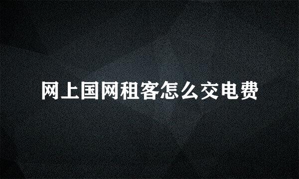 网上国网租客怎么交电费