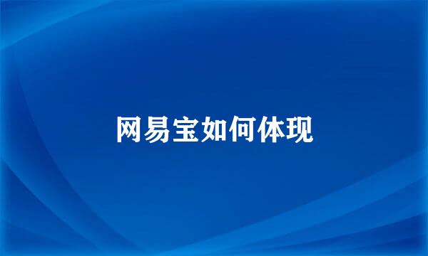网易宝如何体现