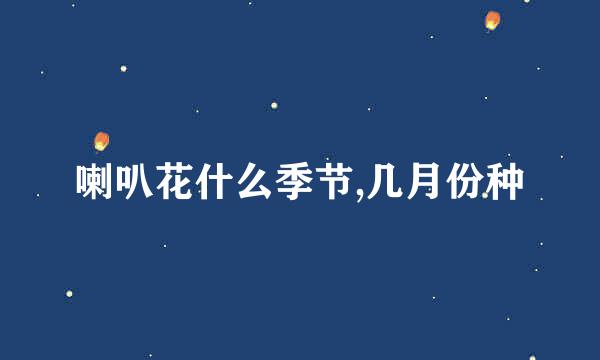 喇叭花什么季节,几月份种