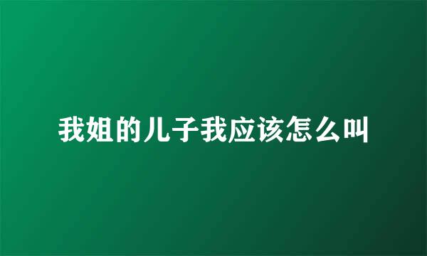 我姐的儿子我应该怎么叫