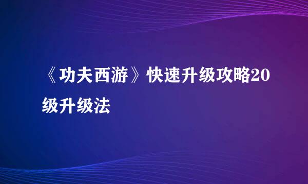 《功夫西游》快速升级攻略20级升级法