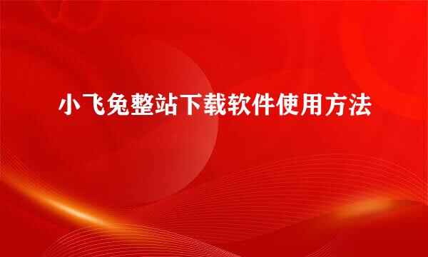 小飞兔整站下载软件使用方法