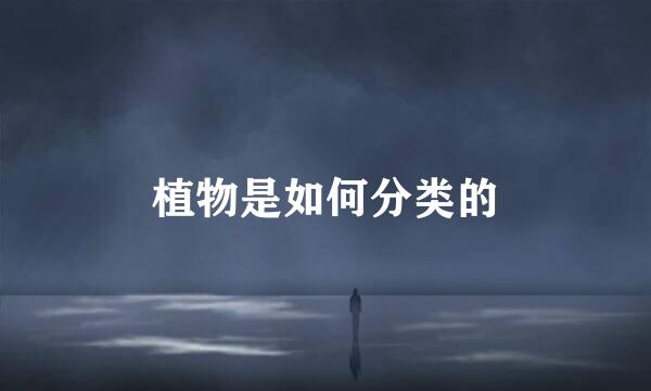 植物是如何分类的