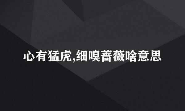 心有猛虎,细嗅蔷薇啥意思