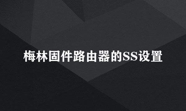 梅林固件路由器的SS设置