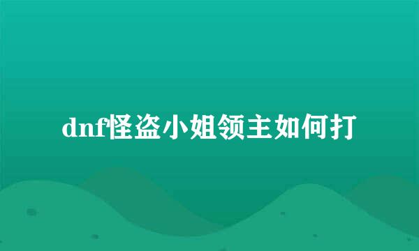 dnf怪盗小姐领主如何打