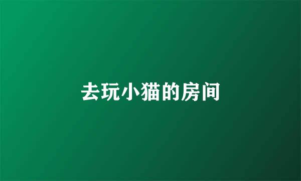 去玩小猫的房间