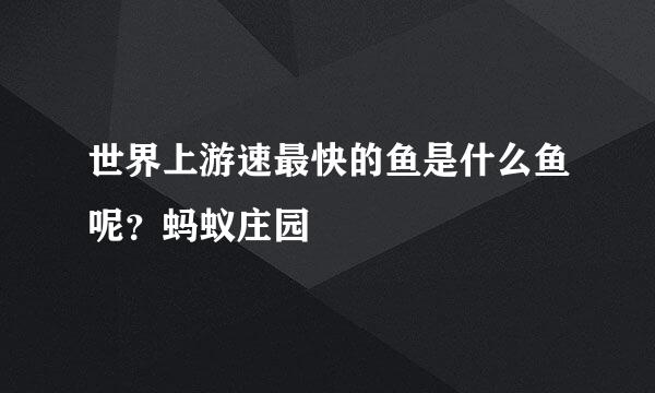 世界上游速最快的鱼是什么鱼呢?蚂蚁庄园