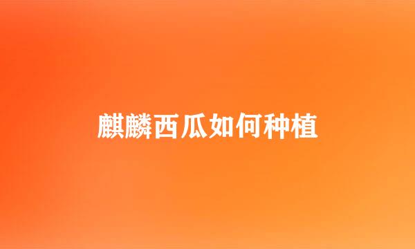 麒麟西瓜如何种植