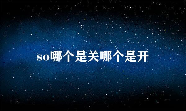 so哪个是关哪个是开