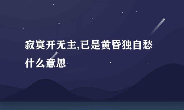 寂寞开无主,已是黄昏独自愁什么意思