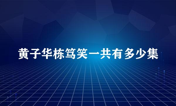 黄子华栋笃笑一共有多少集