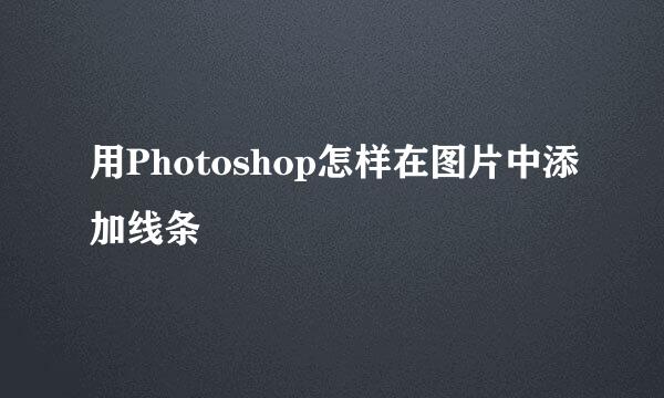 用Photoshop怎样在图片中添加线条