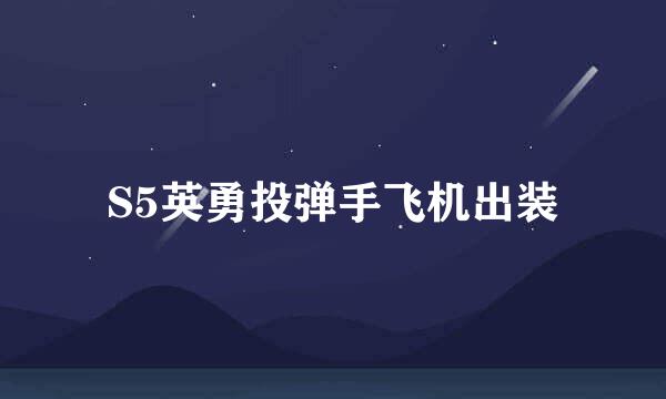 S5英勇投弹手飞机出装