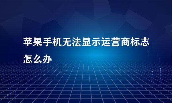 苹果手机无法显示运营商标志怎么办