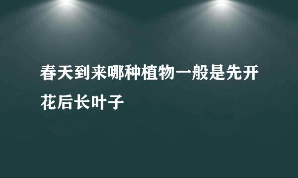春天到来哪种植物一般是先开花后长叶子