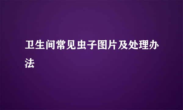 卫生间常见虫子图片及处理办法