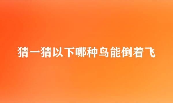 猜一猜以下哪种鸟能倒着飞