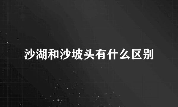 沙湖和沙坡头有什么区别