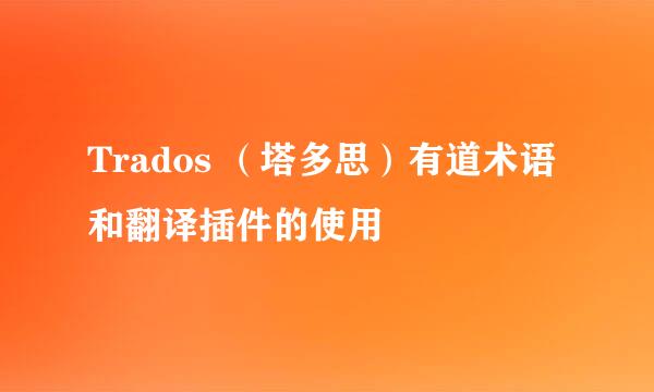 Trados （塔多思）有道术语和翻译插件的使用