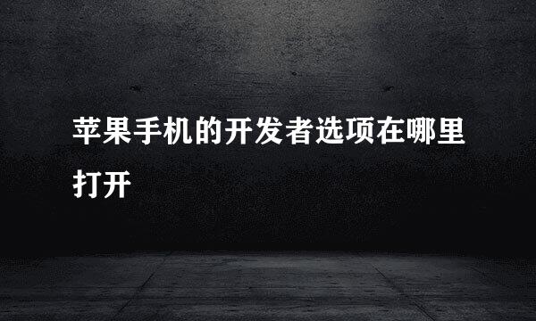 苹果手机的开发者选项在哪里打开
