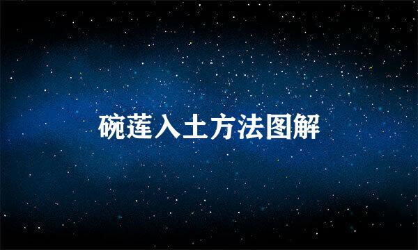 碗莲入土方法图解