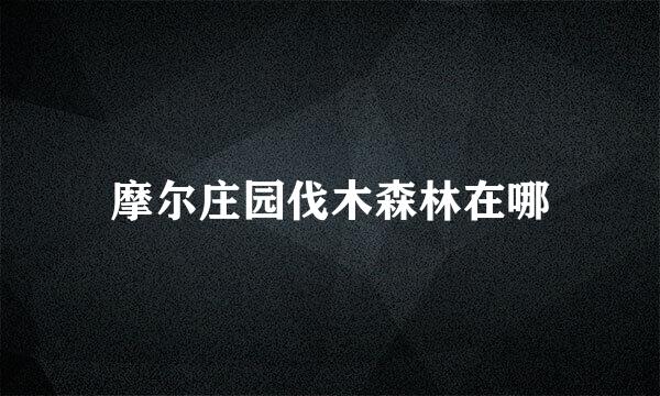 摩尔庄园伐木森林在哪
