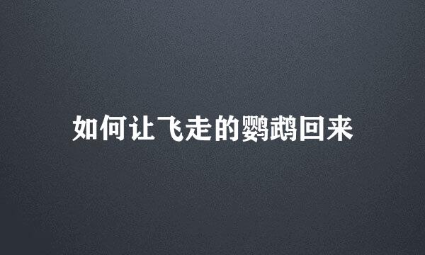 如何让飞走的鹦鹉回来