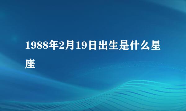 1988年2月19日出生是什么星座
