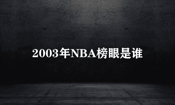 2003年NBA榜眼是谁