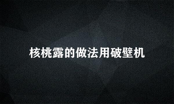 核桃露的做法用破壁机