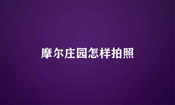 摩尔庄园怎样拍照