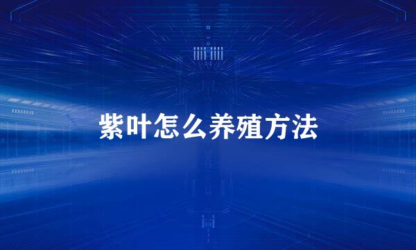 紫叶怎么养殖方法