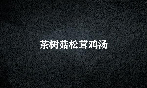 茶树菇松茸鸡汤