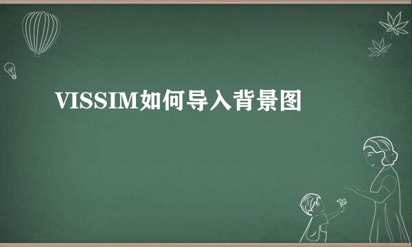 VISSIM如何导入背景图