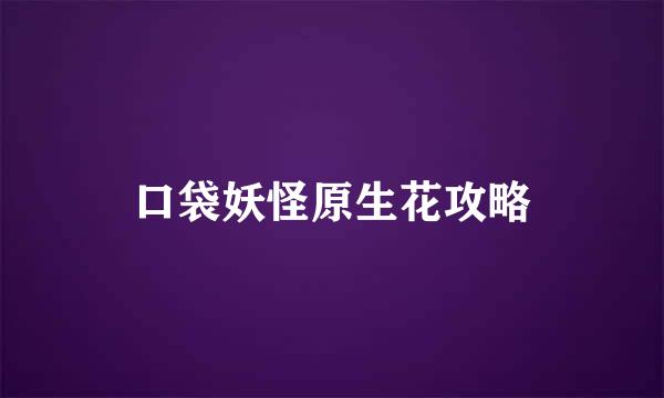 口袋妖怪原生花攻略