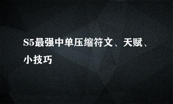 S5最强中单压缩符文、天赋、小技巧