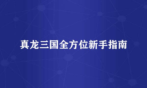 真龙三国全方位新手指南