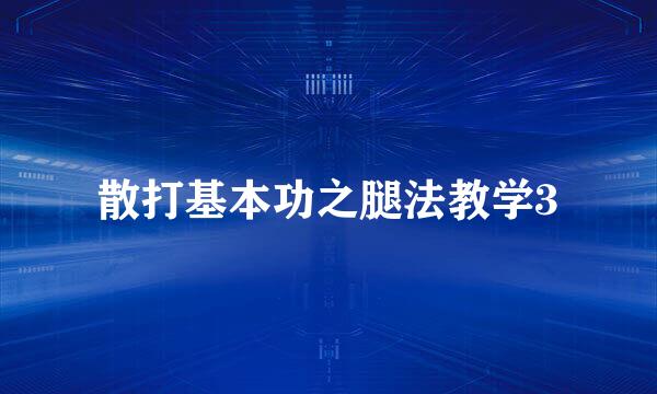 散打基本功之腿法教学3