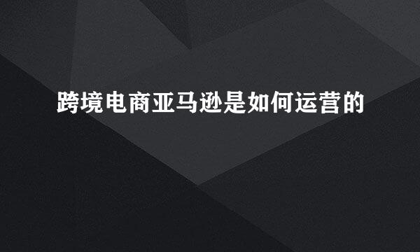跨境电商亚马逊是如何运营的