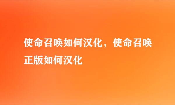 使命召唤如何汉化，使命召唤正版如何汉化