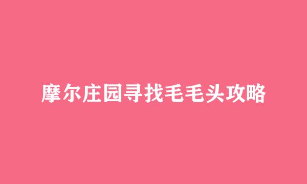 摩尔庄园寻找毛毛头攻略